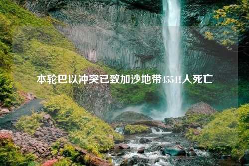 本轮巴以冲突已致加沙地带45541人死亡