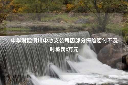 中华财险铜川中心支公司因部分保险赔付不及时被罚8万元