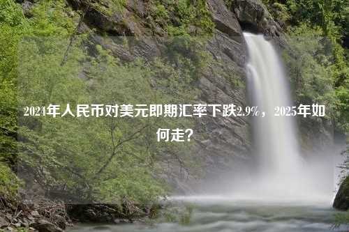 2024年人民币对美元即期汇率下跌2.9%，2025年如何走？