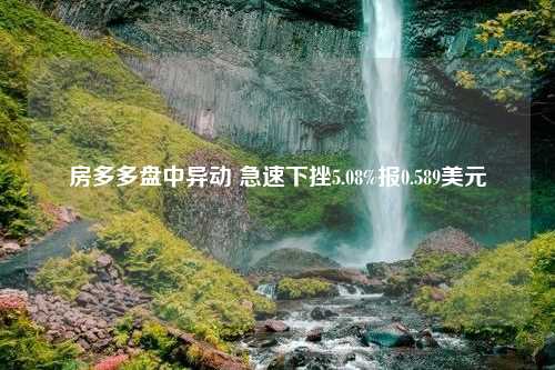 房多多盘中异动 急速下挫5.08%报0.589美元