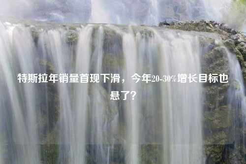 特斯拉年销量首现下滑，今年20-30%增长目标也悬了？