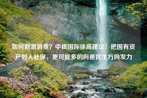 如何刺激消费？中银国际徐高建议：把国有资产划入社保，更可能多的向惠民生方向发力