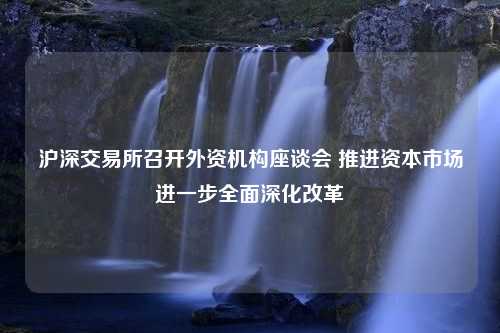 沪深交易所召开外资机构座谈会 推进资本市场进一步全面深化改革