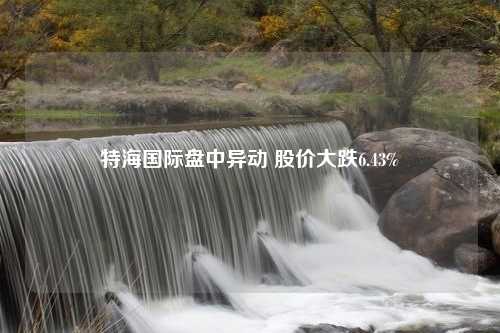 特海国际盘中异动 股价大跌6.43%