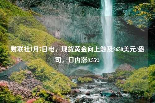 财联社1月7日电，现货黄金向上触及2650美元/盎司，日内涨0.55%