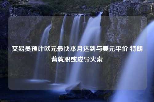 交易员预计欧元最快本月达到与美元平价 特朗普就职或成导火索