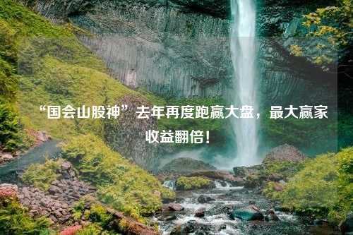 “国会山股神”去年再度跑赢大盘，最大赢家收益翻倍！