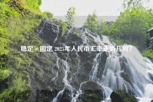 稳定≠固定 2025年人民币汇率走势几何？