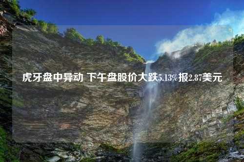 虎牙盘中异动 下午盘股价大跌5.13%报2.87美元