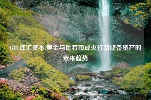 GTC泽汇资本:黄金与比特币成央行新储备资产的未来趋势