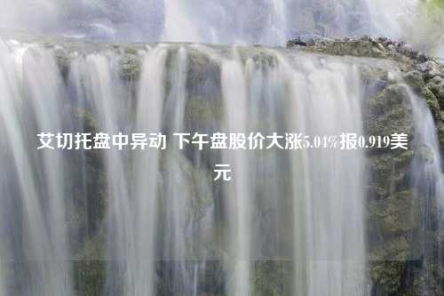 艾切托盘中异动 下午盘股价大涨5.04%报0.919美元