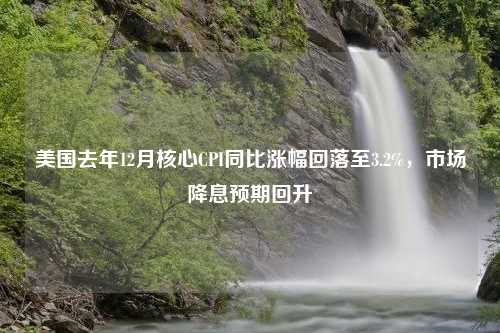 美国去年12月核心CPI同比涨幅回落至3.2%，市场降息预期回升