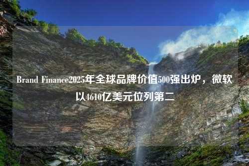 Brand Finance2025年全球品牌价值500强出炉，微软以4610亿美元位列第二