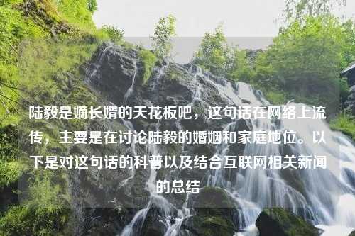 陆毅是嫡长婿的天花板吧，这句话在网络上流传，主要是在讨论陆毅的婚姻和家庭地位。以下是对这句话的科普以及结合互联网相关新闻的总结