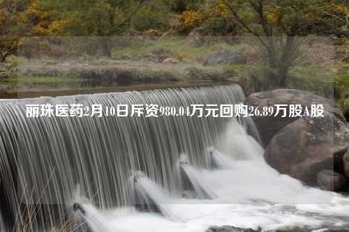 丽珠医药2月10日斥资980.04万元回购26.89万股A股