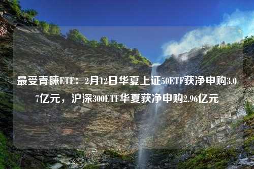 最受青睐ETF：2月12日华夏上证50ETF获净申购3.07亿元，沪深300ETF华夏获净申购2.96亿元