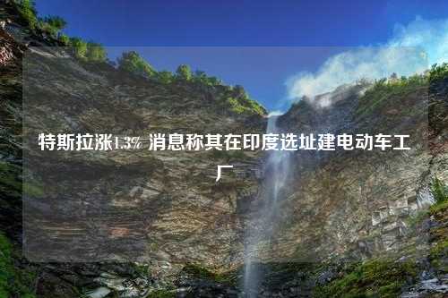 特斯拉涨1.3% 消息称其在印度选址建电动车工厂