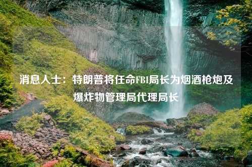 消息人士：特朗普将任命FBI局长为烟酒枪炮及爆炸物管理局代理局长