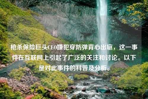 枪杀保险巨头CEO嫌犯穿防弹背心出庭，这一事件在互联网上引起了广泛的关注和讨论。以下是对此事件的科普及分析。