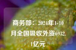 商务部：2024年1-10月全国吸收外资6932.1亿元