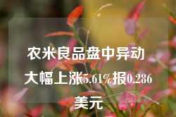 农米良品盘中异动 大幅上涨5.61%报0.286美元