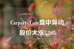 Carparts.Com盘中异动 股价大涨5.26%