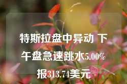 特斯拉盘中异动 下午盘急速跳水5.00%报313.74美元