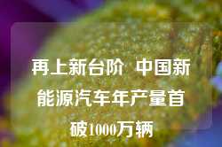 再上新台阶  中国新能源汽车年产量首破1000万辆