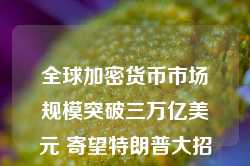 全球加密货币市场规模突破三万亿美元 寄望特朗普大招将带来荣景