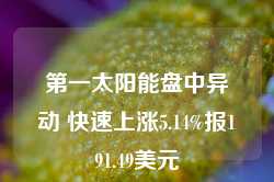 第一太阳能盘中异动 快速上涨5.14%报191.49美元