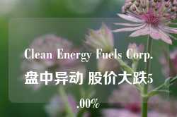 Clean Energy Fuels Corp.盘中异动 股价大跌5.00%