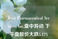 West Pharmaceutical Services, Inc.盘中异动 下午盘股价大跌5.17%报320.64美元