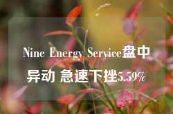 Nine Energy Service盘中异动 急速下挫5.59%