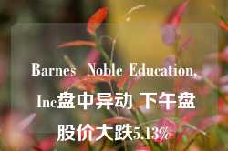 Barnes  Noble Education, Inc盘中异动 下午盘股价大跌5.13%