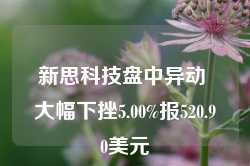 新思科技盘中异动 大幅下挫5.00%报520.90美元