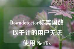 Downdetector称美国数以千计的用户无法使用 Netflix