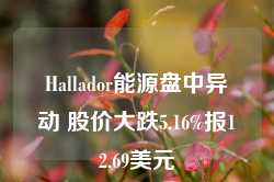 Hallador能源盘中异动 股价大跌5.16%报12.69美元