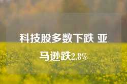 科技股多数下跌 亚马逊跌2.8%