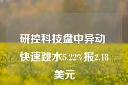 研控科技盘中异动 快速跳水5.22%报2.18美元