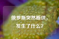 俄罗斯突然断供，发生了什么？