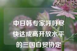 中日韩专家呼吁尽快达成高开放水平的三国自贸协定