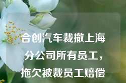 合创汽车裁撤上海分公司所有员工，拖欠被裁员工赔偿金