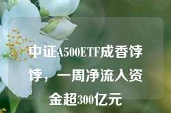 中证A500ETF成香饽饽，一周净流入资金超300亿元