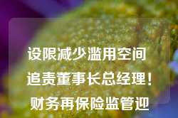 设限减少滥用空间 追责董事长总经理！财务再保险监管迎规范