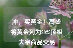 冲，买黄金！高盛将黄金列为2025顶级大宗商品交易