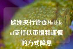 欧洲央行管委Makhlouf支持以审慎和谨慎的方式降息