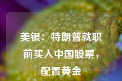 美银：特朗普就职前买入中国股票，配置黄金