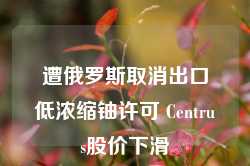 遭俄罗斯取消出口低浓缩铀许可 Centrus股价下滑