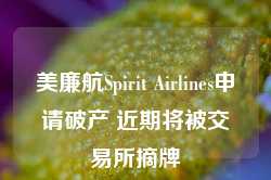 美廉航Spirit Airlines申请破产 近期将被交易所摘牌