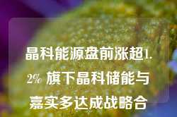 晶科能源盘前涨超1.2% 旗下晶科储能与嘉实多达成战略合作